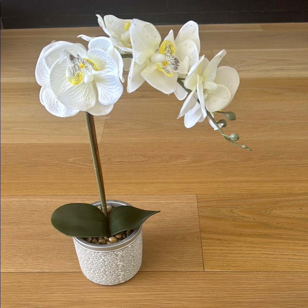 Fake flower perfect to Brighton up home